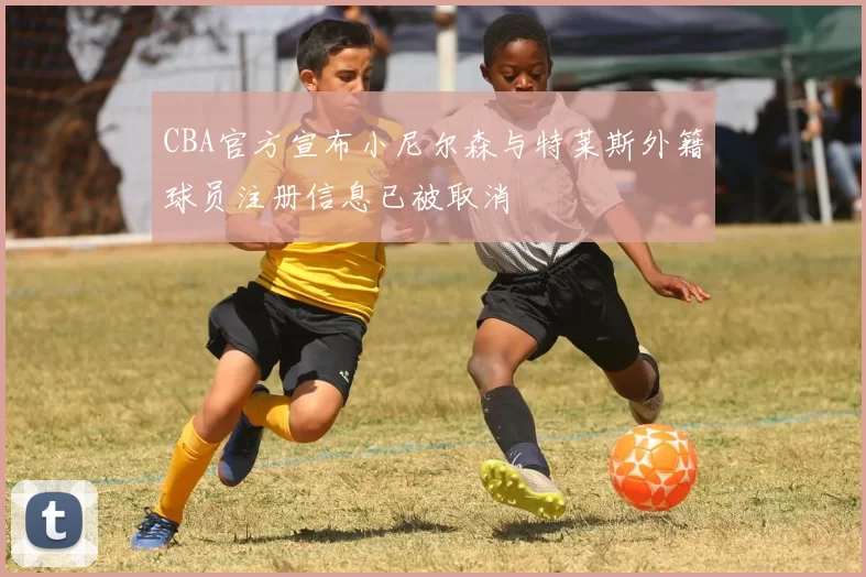 CBA官方宣布小尼尔森与特莱斯外籍球员注册信息已被取消