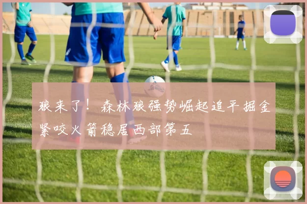 狼来了！森林狼强势崛起追平掘金紧咬火箭稳居西部第五
