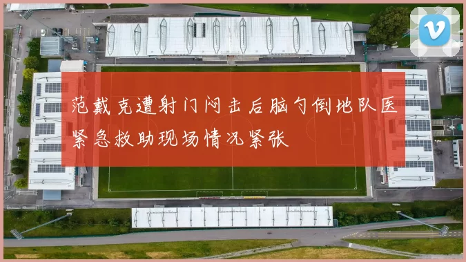 范戴克遭射门闷击后脑勺倒地队医紧急救助现场情况紧张