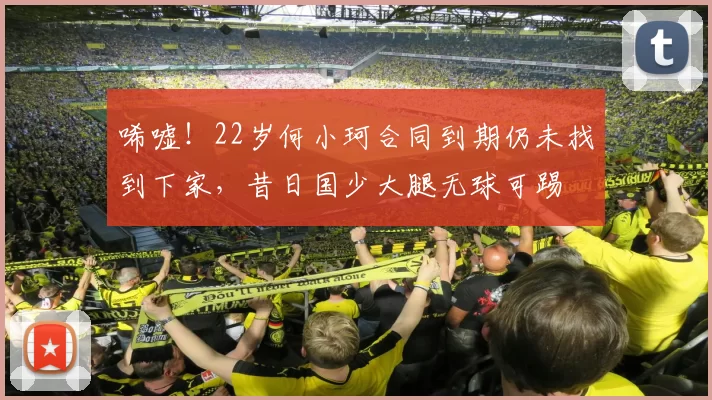唏嘘！22岁何小珂合同到期仍未找到下家，昔日国少大腿无球可踢